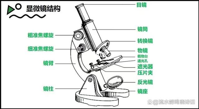 生物科学专业课程与生物技术产品消费者行为_生物学的消费者