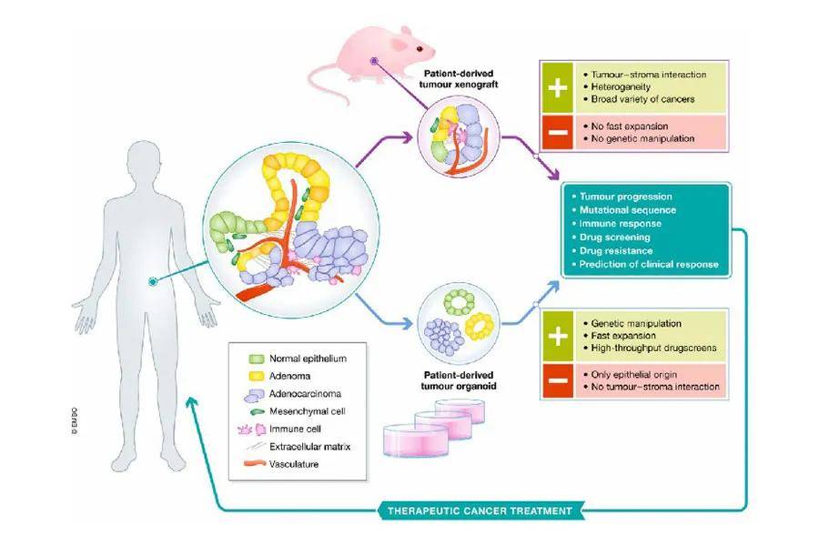 分子生物学专业：基因编辑的分子机制的简单介绍