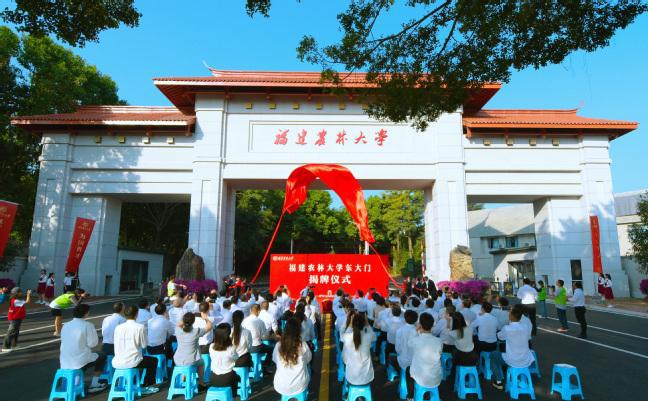 福建农林大学与集美大学：福建地区的学术对话_福建农林大学与集美大学哪个好