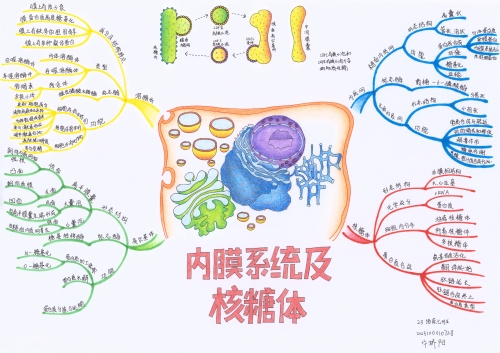 细胞生物学专业：基因编辑在细胞学研究中的应用_细胞生物学编者