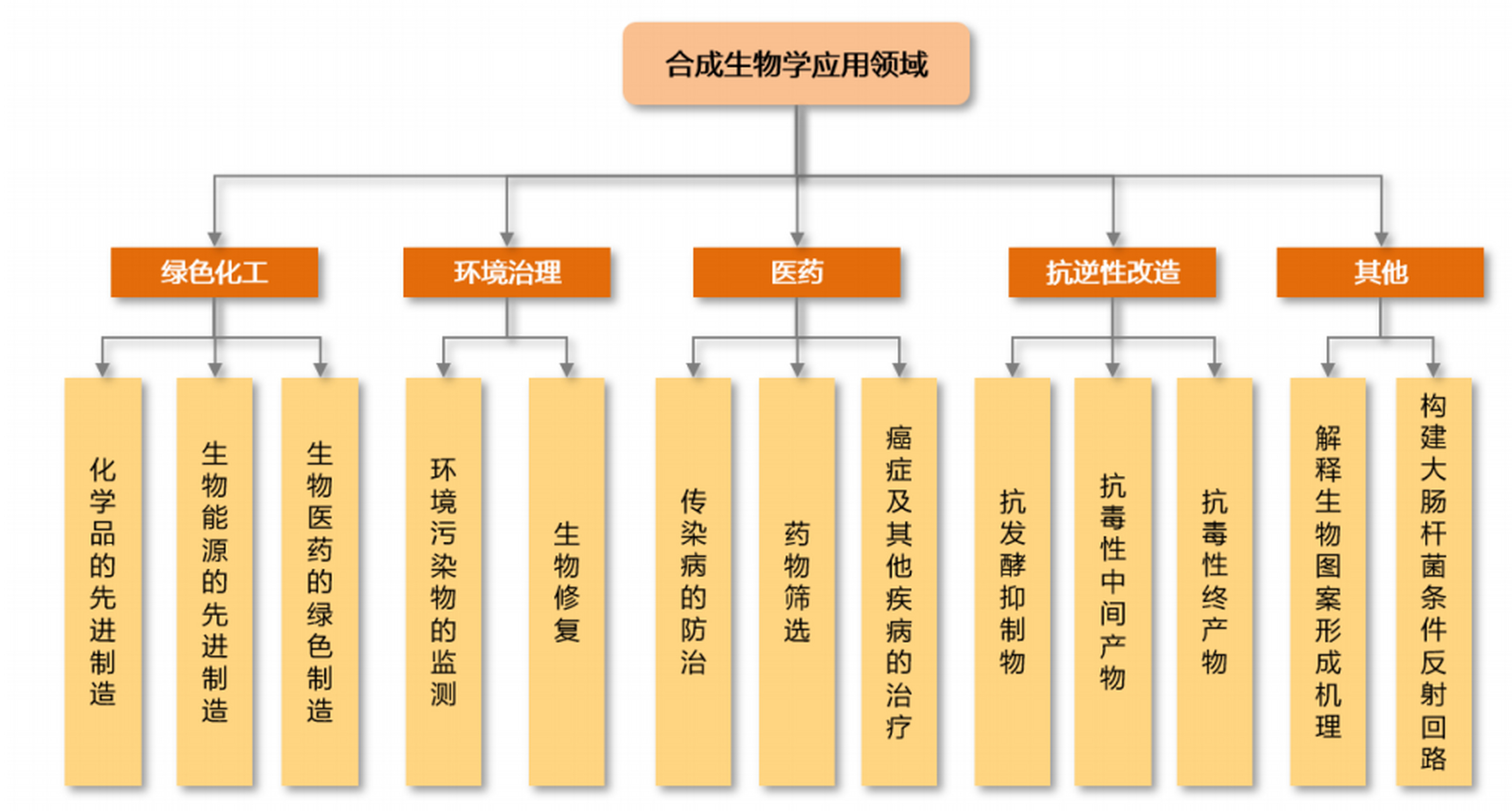 合成生物学与合成生物编辑学：编辑工作的生物技术_合成生物学杂志