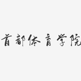 首都体育学院-体育教育_首都体育学院体育教育训练学院院长