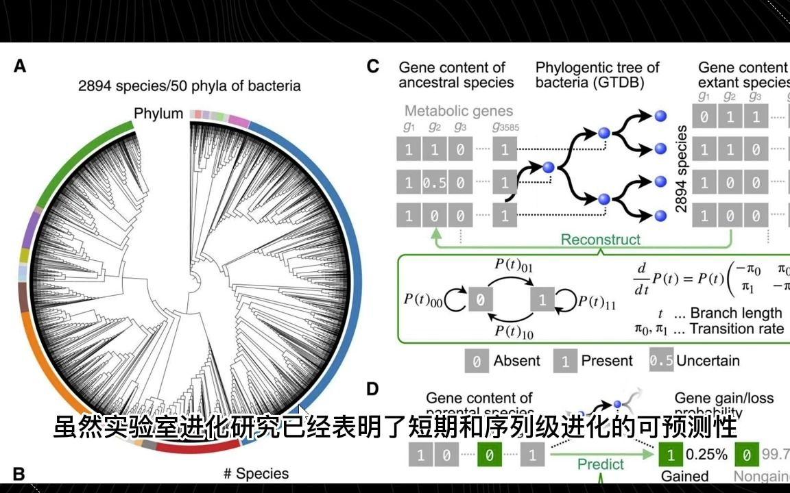 合成生物学与合成代谢学：代谢网络的设计与调控_合成代谢产物及其医学上的意义