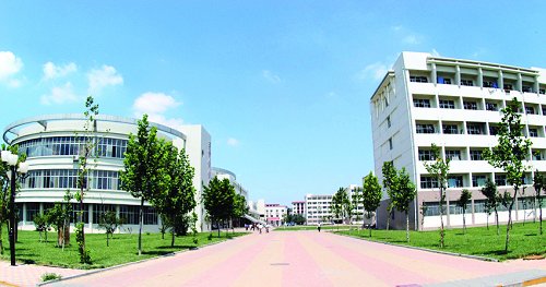 聊城大学化学工程与工艺_聊城大学化学工程与工艺分数线