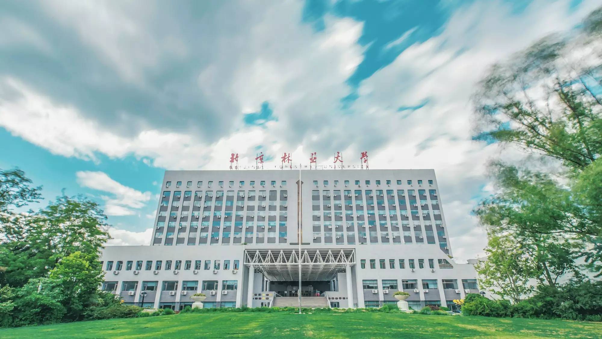 北京林业大学林学_北京林业大学林学院