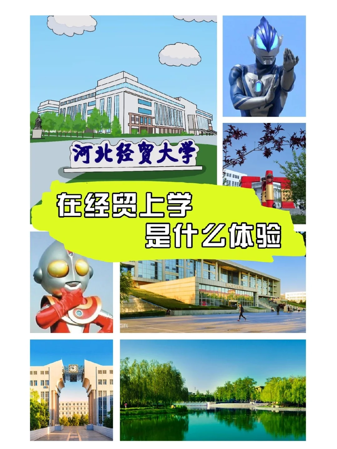 河北经贸大学经济学_河北经贸大学经济学在哪个校区