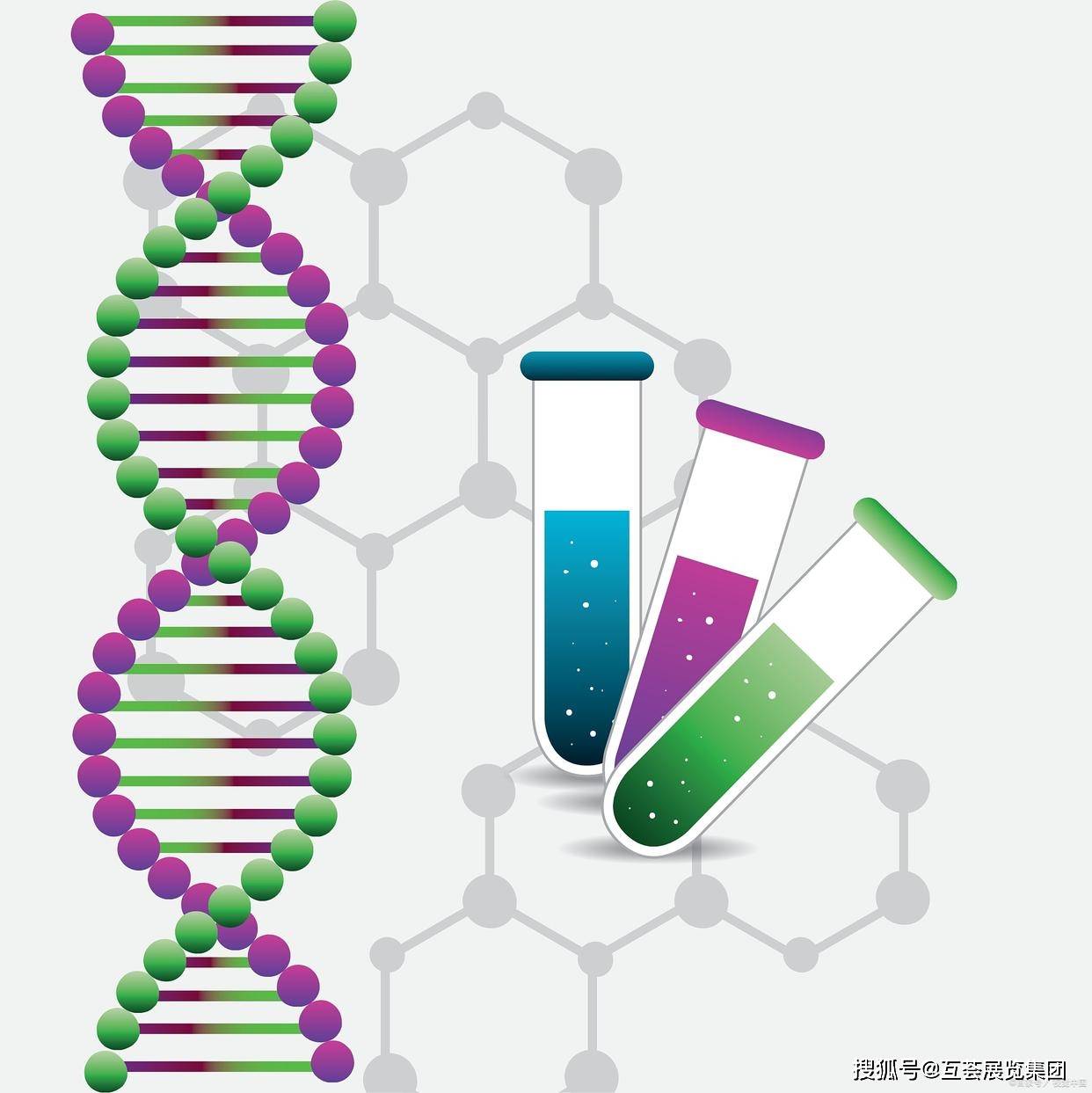 合成生物学与合成生物艺术学：艺术创作的生物元素_合成生物学百度百科