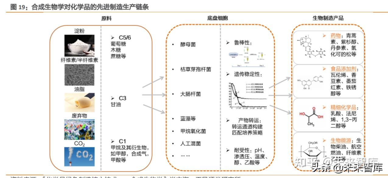 合成生物学与合成生物音乐学：音乐创作的生物原理_合成生物学的原理和应用