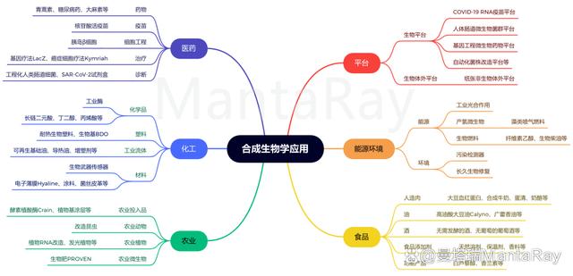 合成生物学与合成生物音乐学：音乐创作的生物原理_合成生物学的原理和应用