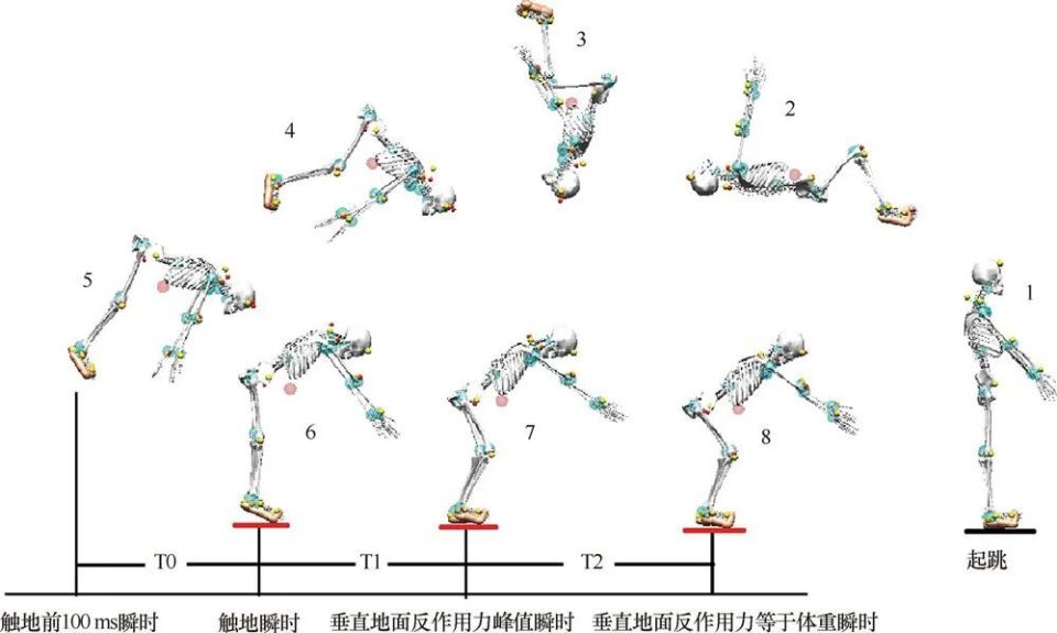 体育教育：体育科学研究与运动训练课程_体育科学研究有哪些