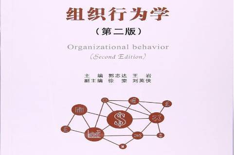 管理学：组织行为学与领导力发展课程_组织行为学和管理学原理