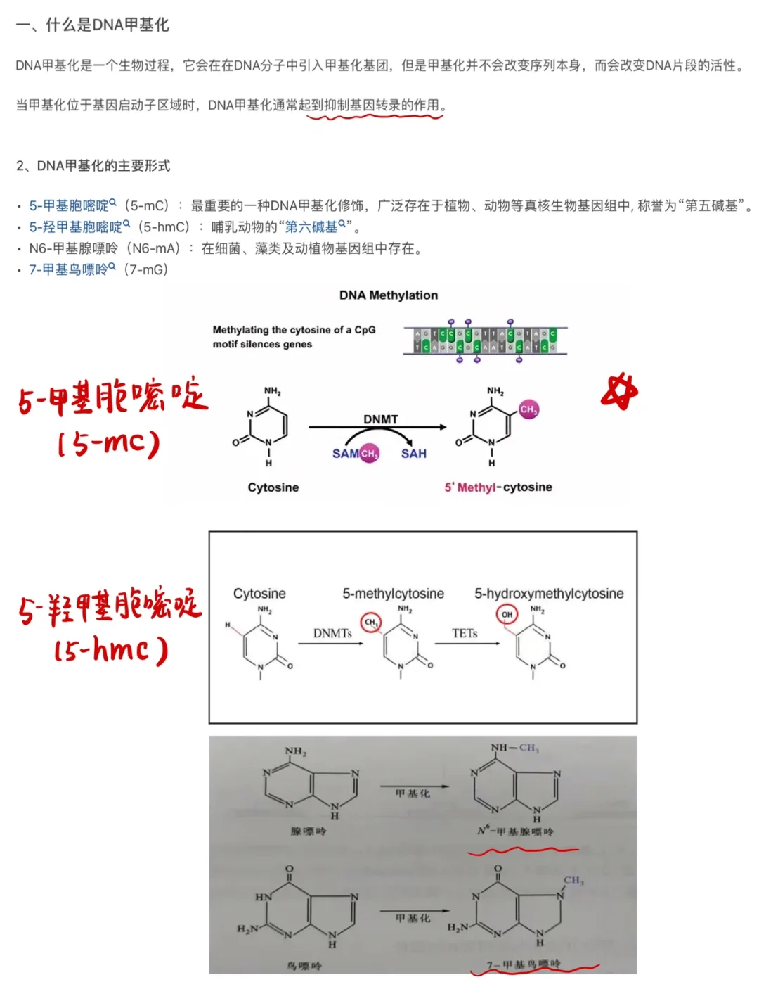 合成生物学专业核心课程：遗传学的现代应用_合成生物学最新进展