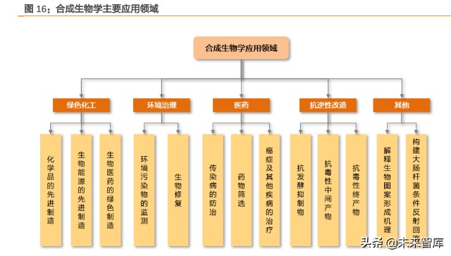 合成生物学与合成生物社会学：合成生物技术的社会影响_合成生物学和生物合成的区别