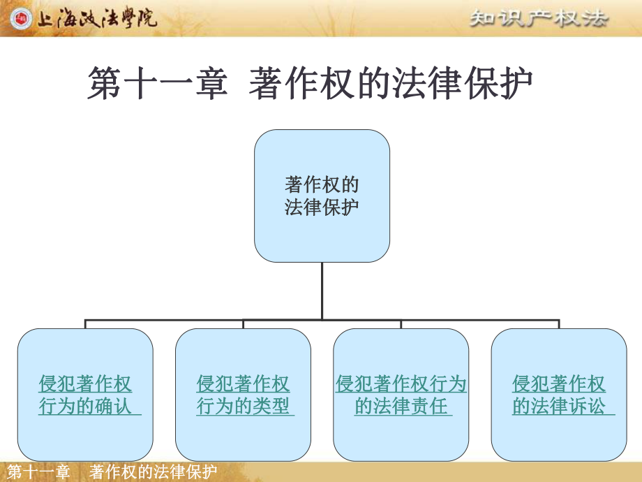 知识产权：专利法与知识产权保护课程_知识产权保护法和专利法方面的重大改革