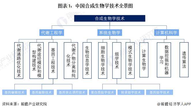 合成生物学与合成生物新闻学：新闻报道的生物视角_合成生物学的最新技术