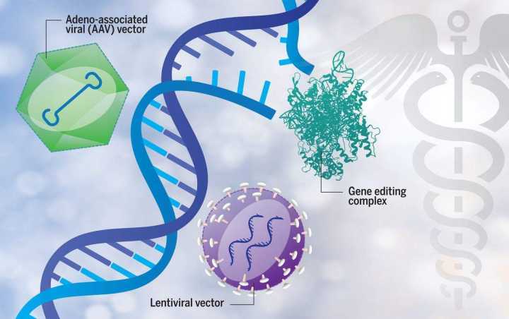 神经生物学专业：基因编辑技术在神经科学研究中的角色_神经生物学介绍