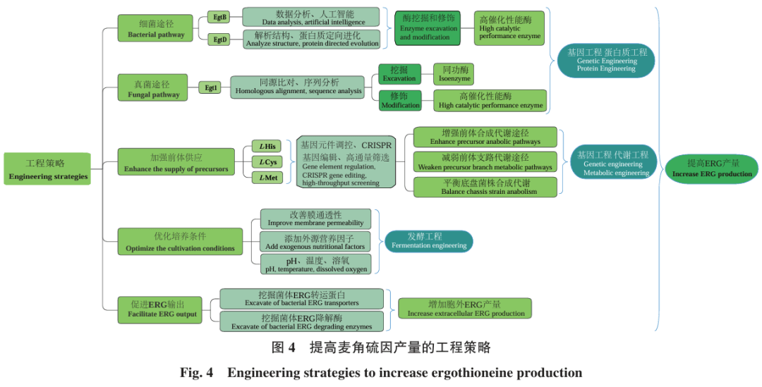 合成生物学与工业生物技术：工业生产中的生物过程_合成生物学企业