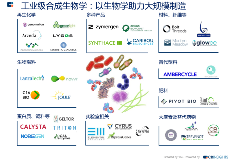 合成生物学与环境科学：生物技术在环境治理中的作用_合成生物技术应用