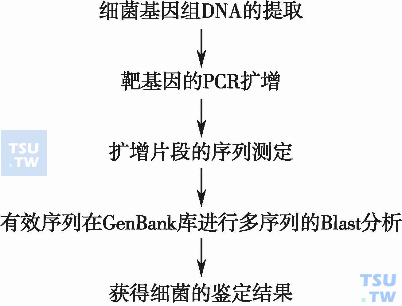 应用微生物学专业：基因编辑在应用微生物学中的作用_微生物基因工程主要应用领域