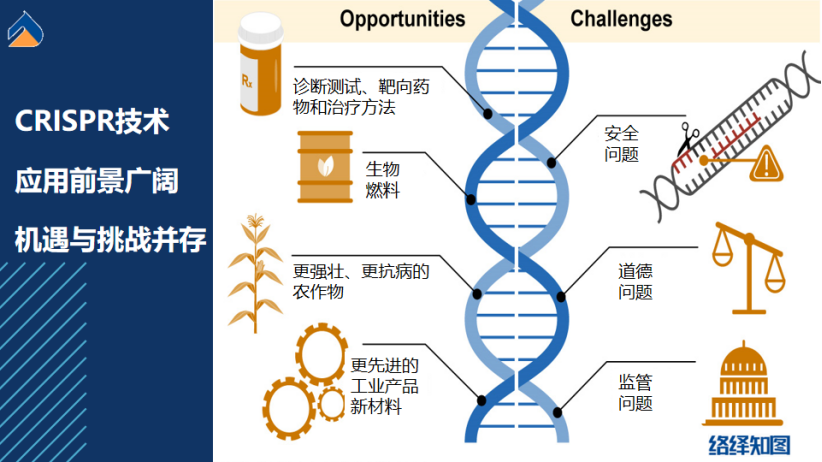 生物科学专业：基因编辑技术的基础与应用_基因编辑的生物学意义