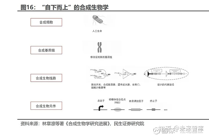 合成生物学与合成生物电影学：电影制作的生物技术_合成生物学视频