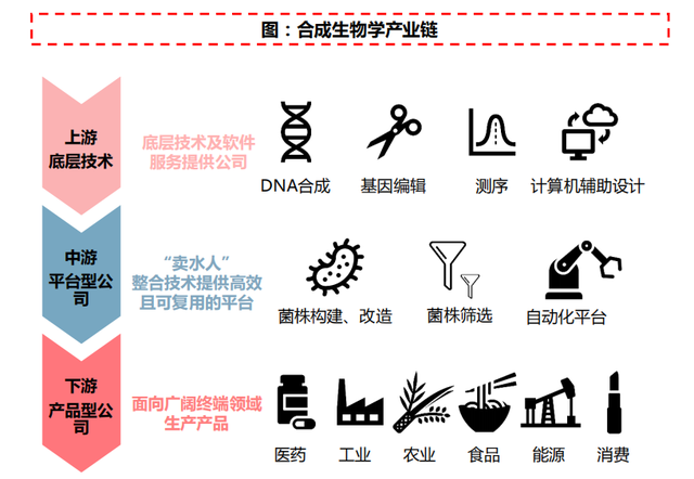 合成生物学与合成生物电影学：电影制作的生物技术_合成生物学视频