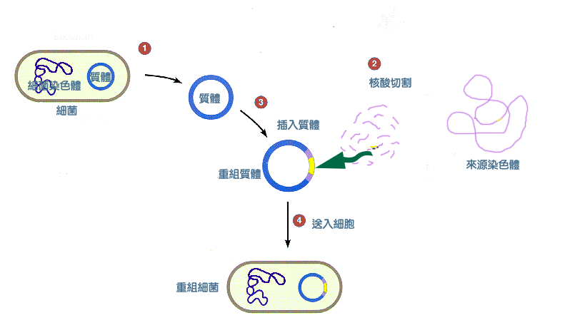 生物制药技术专业：基因编辑在制药技术中的应用_生物制药与基因工程