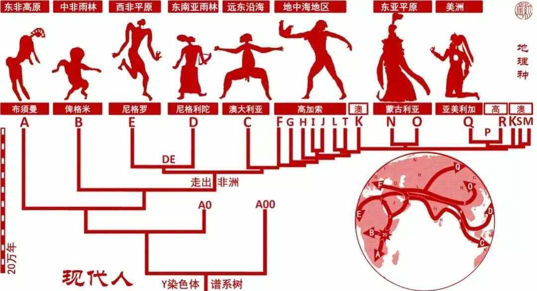 合成生物学与合成生物人类学：人类行为的生物解释_合成生物学百度百科