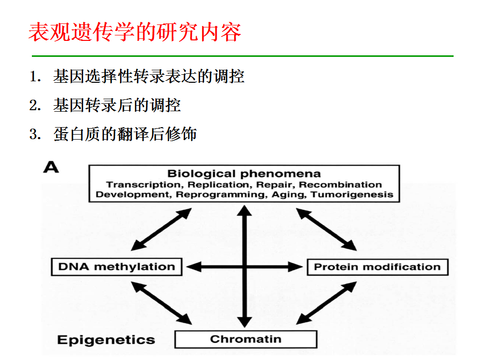 遗传学专业：基因编辑技术在遗传学研究中的应用_基因遗传学科