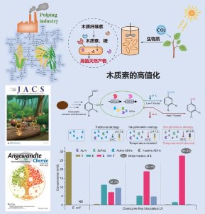 活性天然产物化学专业：基因编辑在天然产物研究中的应用_天然活性产物生物制造技术