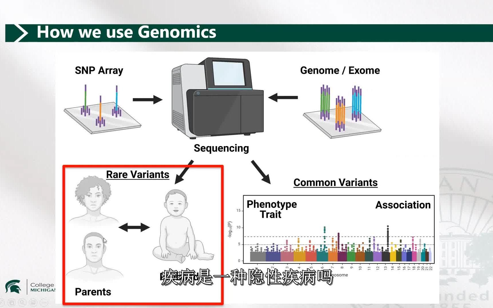 生物信息学专业课程与基因组数据分析_生物信息学基因组学