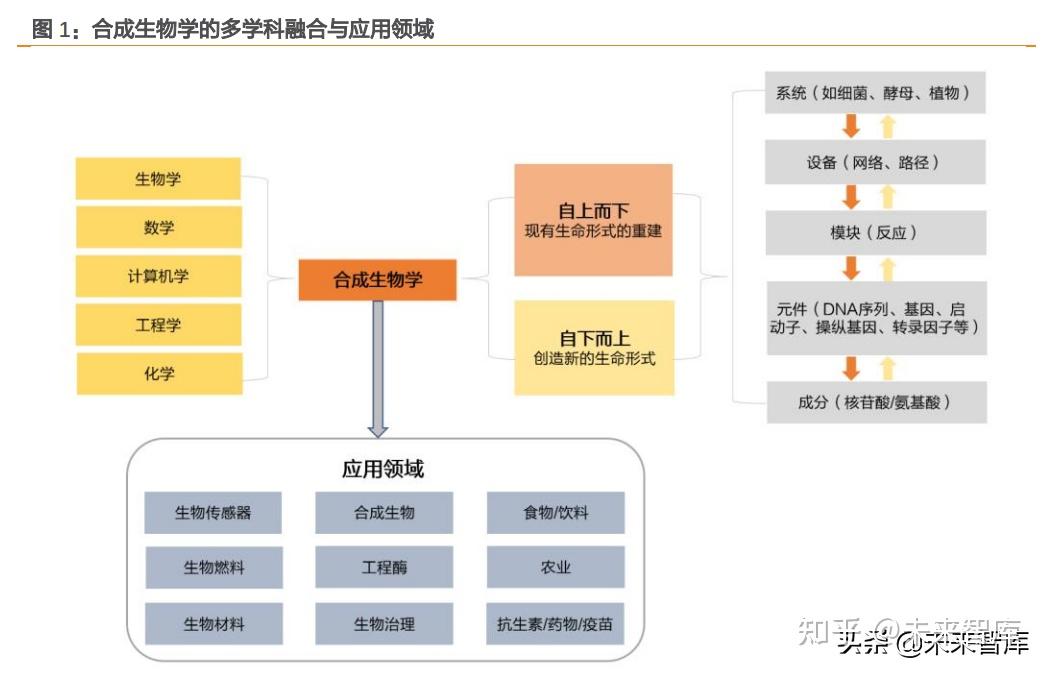 合成生物学与合成生物康复治疗学：康复治疗的生物技术_合成生物学生命科学的“利器	”开卷知新