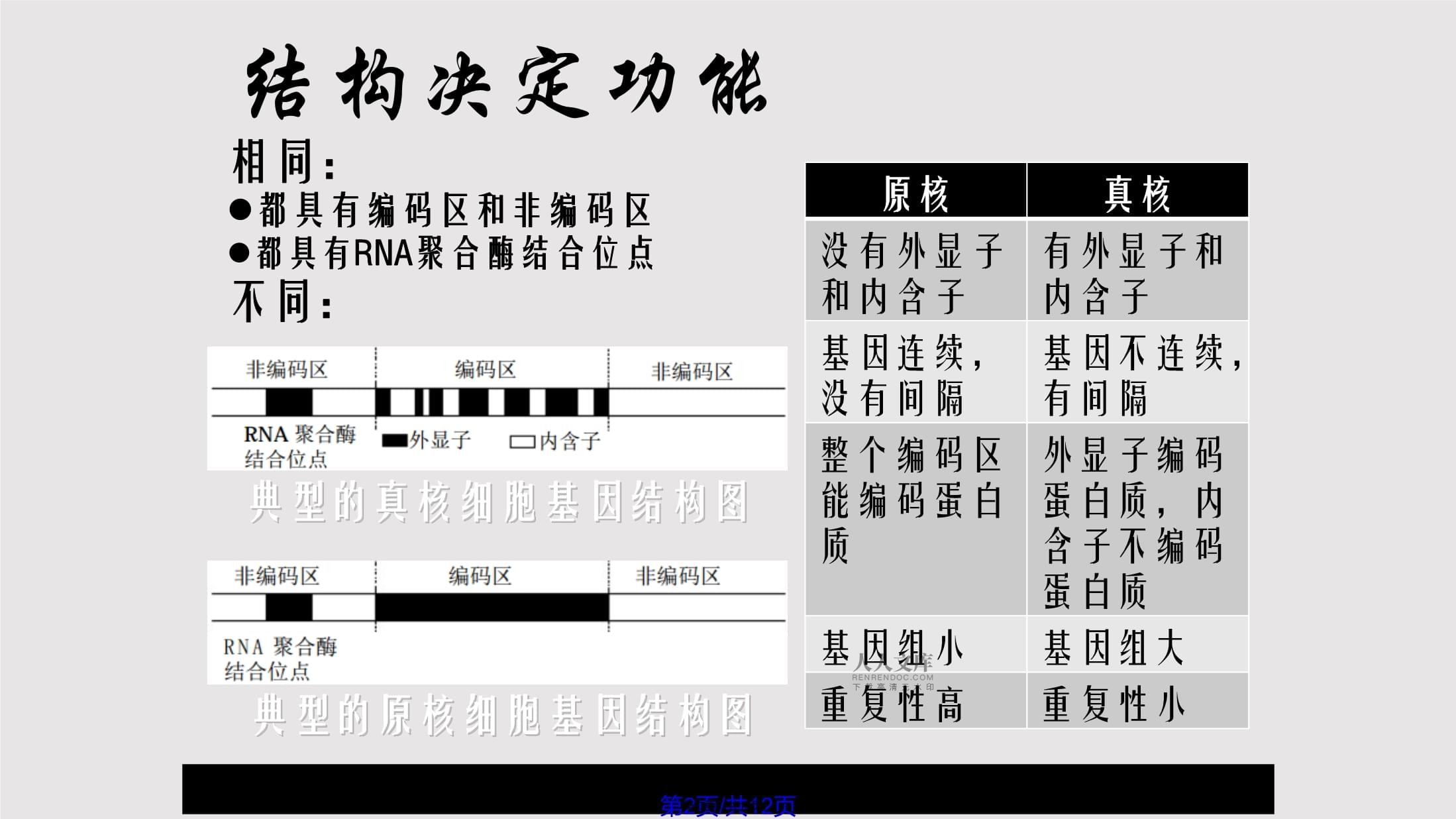 合成生物学与合成生物化学：生物化学反应的人工调控_生物合成和合成生物学