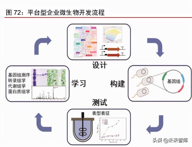 合成生物学实践课程：生物产业专业实习经验_合成生物技术学