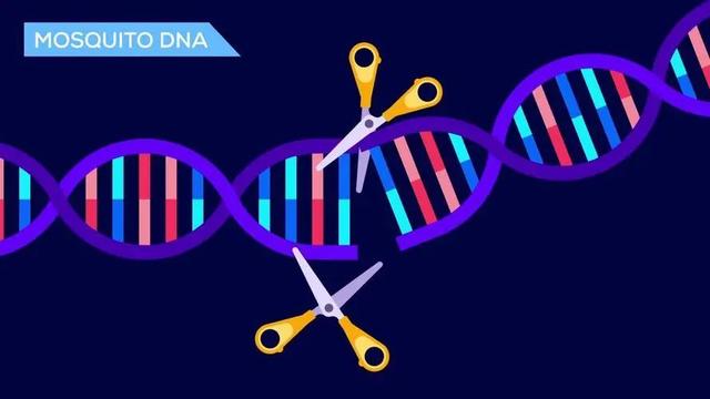 生物制品与工艺学专业：基因编辑技术在生物制品生产中的应用_生物制药 基因工程