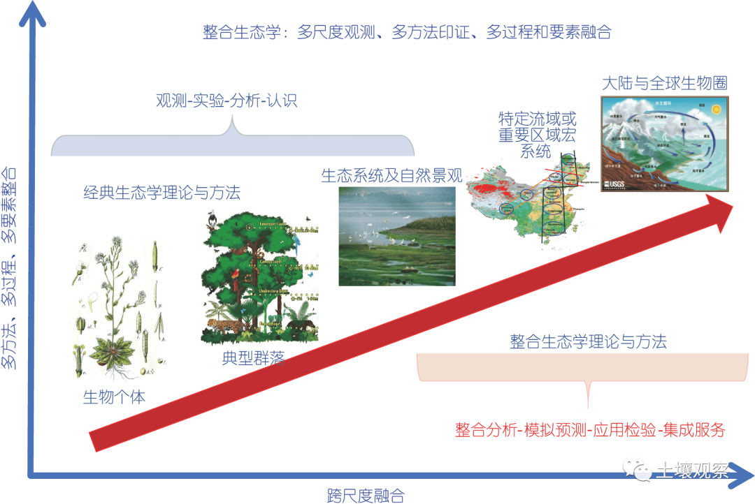 生态学专业：基因编辑对生态系统的影响_生态基因组学的意义