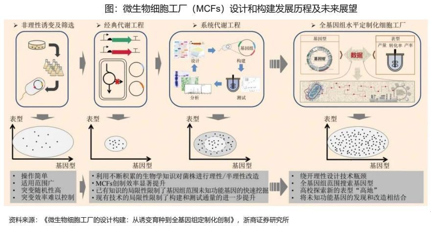 合成生物学实践课程：生物制造产业创新创业实践_合成生物技术