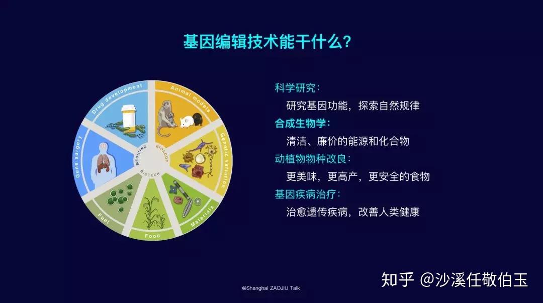 进化生物学专业：基因编辑在进化生物学中的应用_基因进化学说