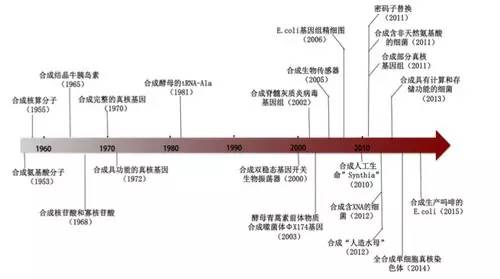 合成生物学特色课程：生命时空组学的探索_合成生命研究