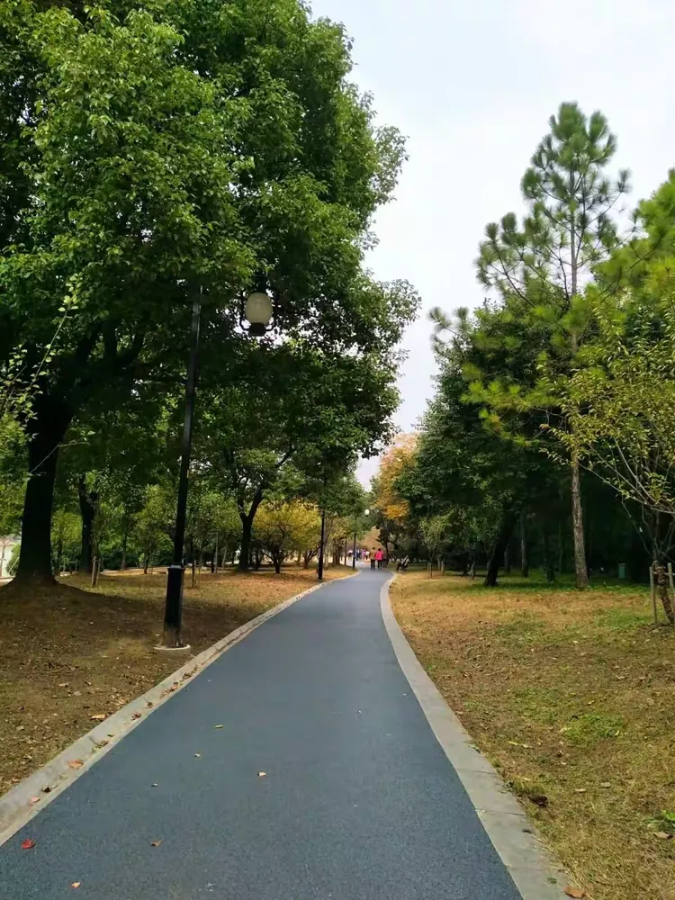 什么是职业护城河	，大学期间如何逐步搭建_职业护城河什么意思