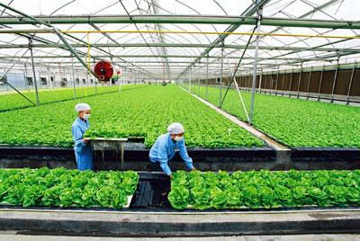 农林行业不只有种地，全新职业方向规划_农林种植行业有哪些