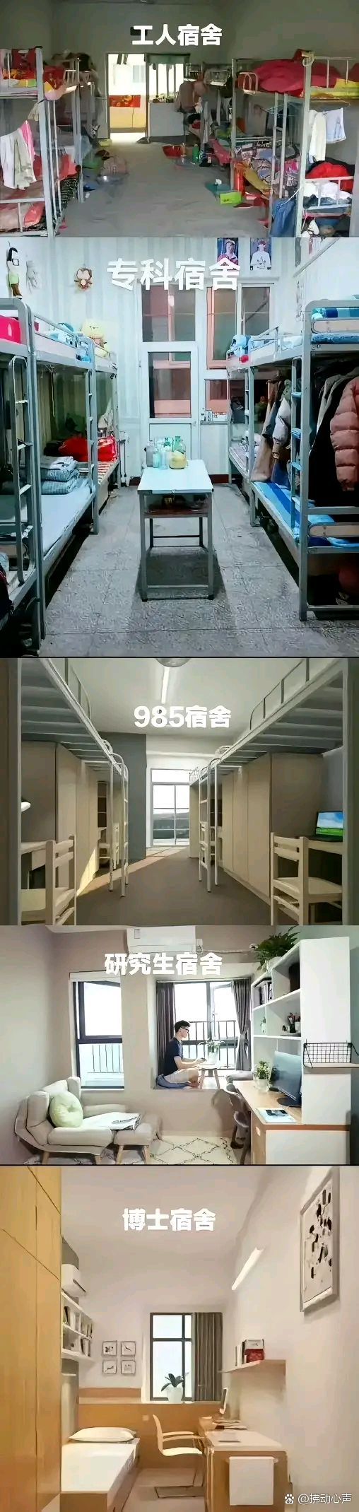 同一个城市多所大学，大学城就读体验差异_有一座城市在大学里面
