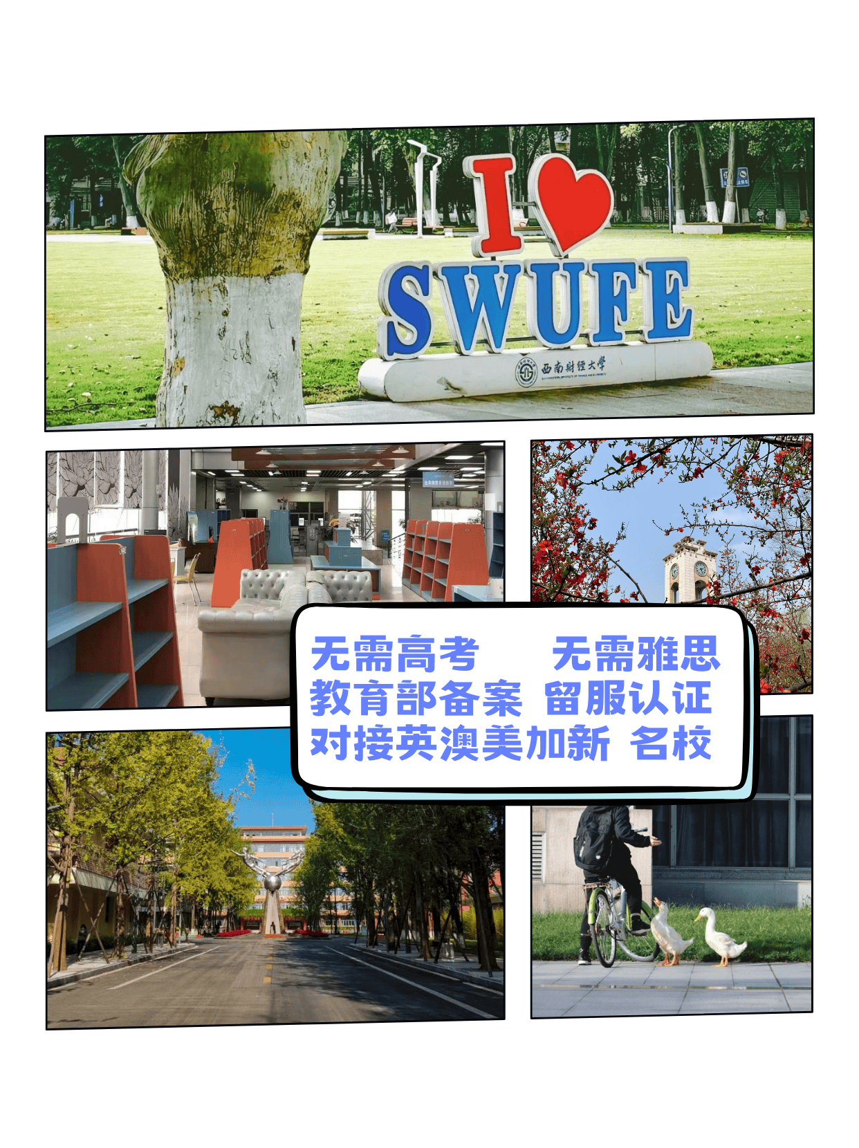 报考院校怎么查真实就业，避开宣传陷阱_怎么查看院校的考研信息