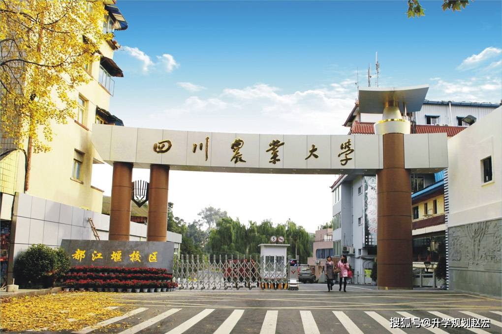 部分高校取消专业级差，录取规则发生改变_取消专业级差的省份