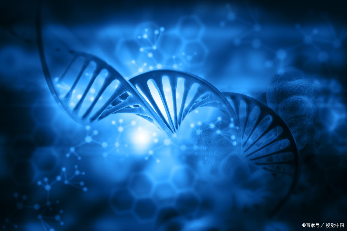 生物信息学，生命科学与计算机的交叉学科_生物信息学和计算生物学的区别